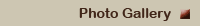 link_gallery