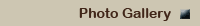 link_gallery