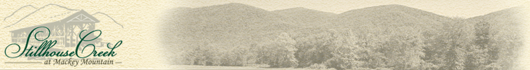img_header1